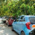 Sedan vs SUV Maintenance: Key Differences in Indian Cities & Villages