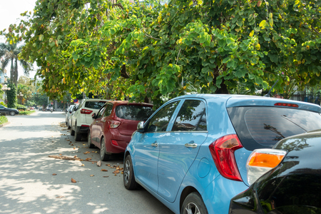 Sedan vs SUV Maintenance: Key Differences in Indian Cities & Villages