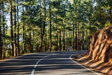 Best SUV for Long Drives in India: Perfect Choice for Indian Roads & Traffic